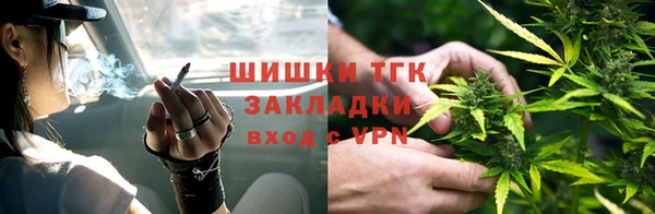 амф Алексин