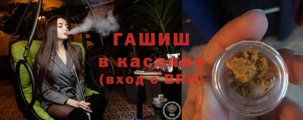 гидра Галич