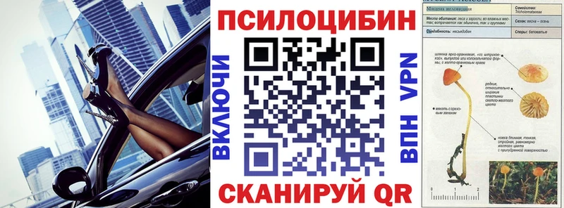 закладка  Нефтекумск  Галлюциногенные грибы GOLDEN TEACHER 