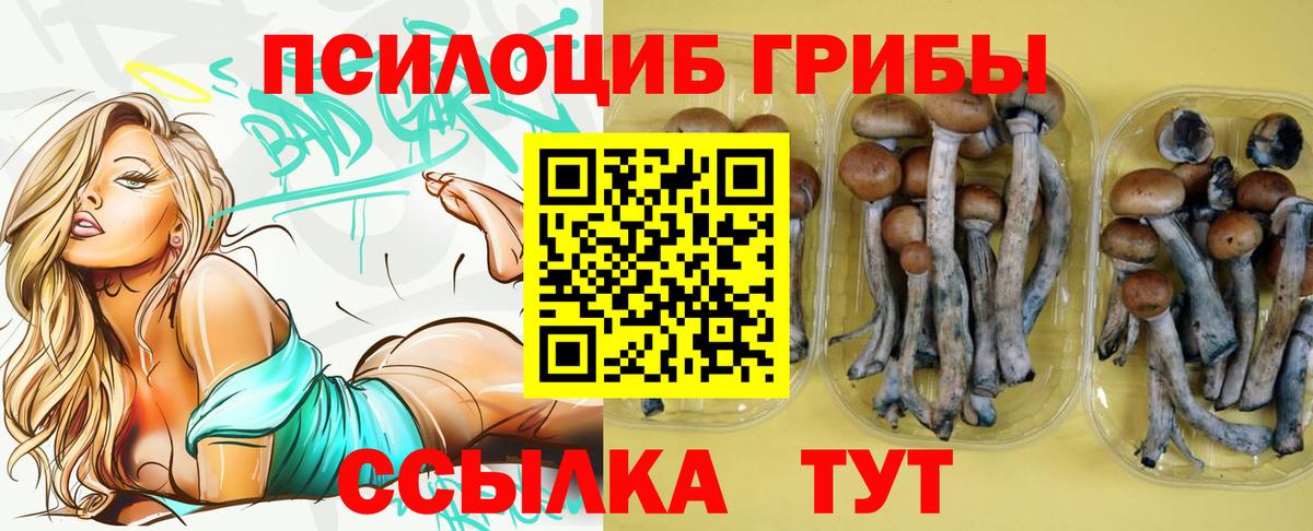 Псилоцибиновые грибы Psilocybe Нефтекумск