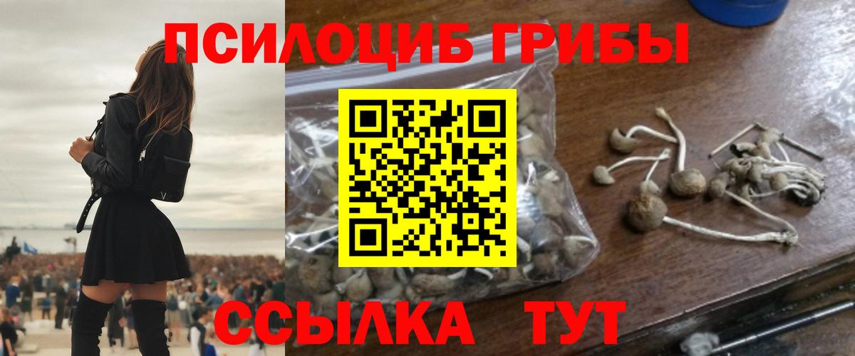 Нефтекумск  Галлюциногенные грибы Magic Shrooms  Вход с VPN  Галлюциногенные грибы ЛСД 